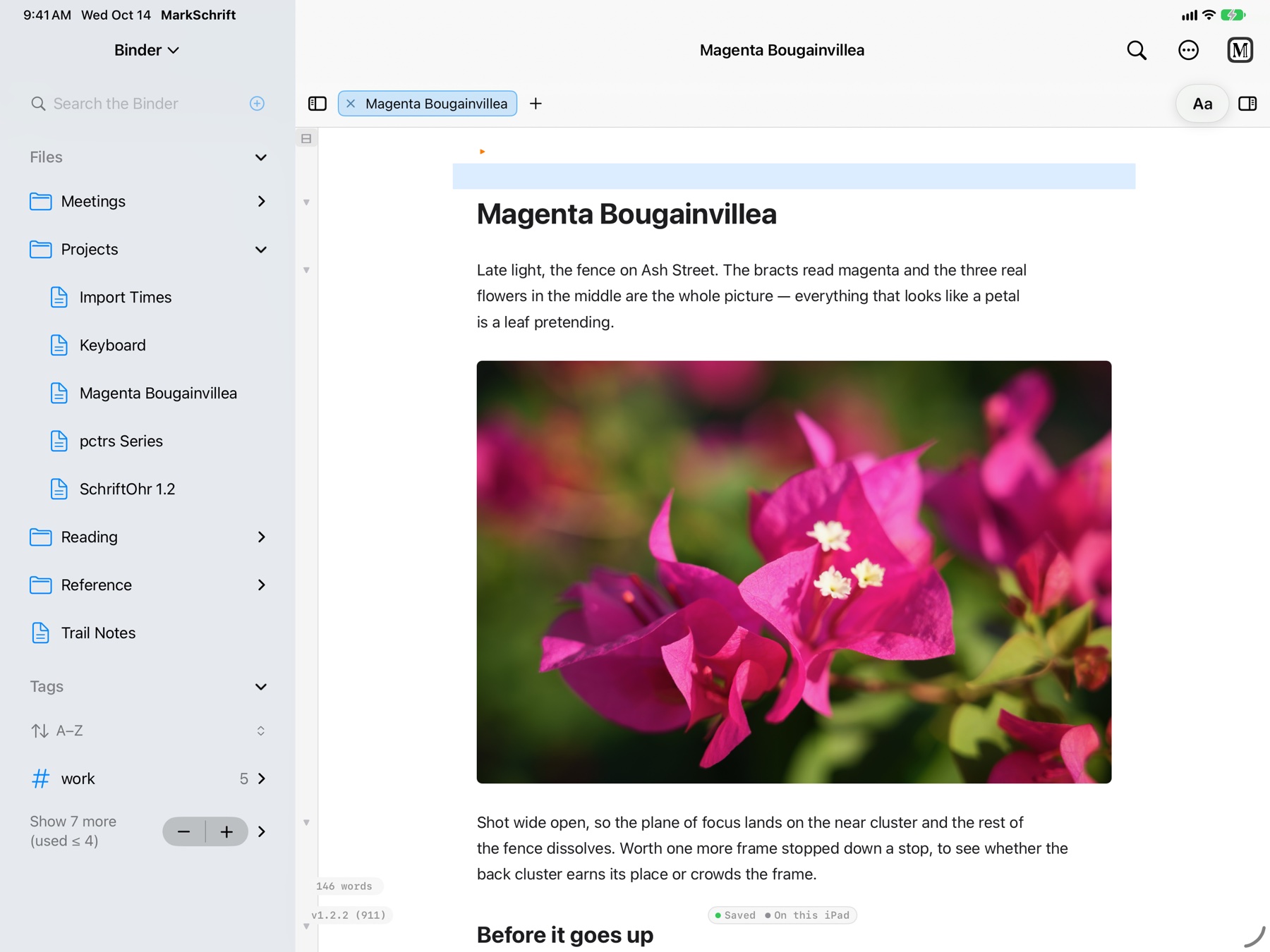 MarkSchrift on iPad: the Binder beside a note with a photograph